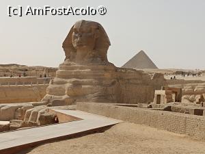 [P02] Complexul de la Giza, Marele Sfinx de la Giza » foto by mprofeanu
 - 
<span class="allrVoted glyphicon glyphicon-heart hidden" id="av1519262"></span>
<a class="m-l-10 hidden" id="sv1519262" onclick="voting_Foto_DelVot(,1519262,25858)" role="button">șterge vot <span class="glyphicon glyphicon-remove"></span></a>
<a id="v91519262" class=" c-red"  onclick="voting_Foto_SetVot(1519262)" role="button"><span class="glyphicon glyphicon-heart-empty"></span> <b>LIKE</b> = Votează poza</a> <img class="hidden"  id="f1519262W9" src="/imagini/loader.gif" border="0" /><span class="AjErrMes hidden" id="e1519262ErM"></span>
