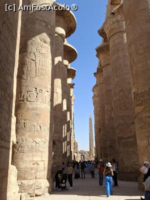 [P51] Luxor, Complexul Karnak, Marea Sală Hipostilă » foto by mprofeanu
 - 
<span class="allrVoted glyphicon glyphicon-heart hidden" id="av1519311"></span>
<a class="m-l-10 hidden" id="sv1519311" onclick="voting_Foto_DelVot(,1519311,25858)" role="button">șterge vot <span class="glyphicon glyphicon-remove"></span></a>
<a id="v91519311" class=" c-red"  onclick="voting_Foto_SetVot(1519311)" role="button"><span class="glyphicon glyphicon-heart-empty"></span> <b>LIKE</b> = Votează poza</a> <img class="hidden"  id="f1519311W9" src="/imagini/loader.gif" border="0" /><span class="AjErrMes hidden" id="e1519311ErM"></span>