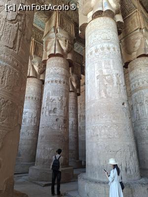 [P58] Complexul Dendera, Templul lui Hathor, Sala Hipostilă » foto by mprofeanu
 - 
<span class="allrVoted glyphicon glyphicon-heart hidden" id="av1519318"></span>
<a class="m-l-10 hidden" id="sv1519318" onclick="voting_Foto_DelVot(,1519318,25858)" role="button">șterge vot <span class="glyphicon glyphicon-remove"></span></a>
<a id="v91519318" class=" c-red"  onclick="voting_Foto_SetVot(1519318)" role="button"><span class="glyphicon glyphicon-heart-empty"></span> <b>LIKE</b> = Votează poza</a> <img class="hidden"  id="f1519318W9" src="/imagini/loader.gif" border="0" /><span class="AjErrMes hidden" id="e1519318ErM"></span>