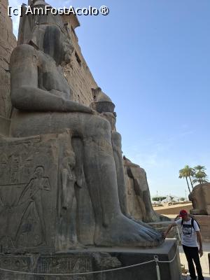 [P61] Luxor, Templul Luxor, Imensa statuie a lui Ramses II și în dreapta lui la picioare soția Nefertari » foto by mprofeanu
 - 
<span class="allrVoted glyphicon glyphicon-heart hidden" id="av1519321"></span>
<a class="m-l-10 hidden" id="sv1519321" onclick="voting_Foto_DelVot(,1519321,25858)" role="button">șterge vot <span class="glyphicon glyphicon-remove"></span></a>
<a id="v91519321" class=" c-red"  onclick="voting_Foto_SetVot(1519321)" role="button"><span class="glyphicon glyphicon-heart-empty"></span> <b>LIKE</b> = Votează poza</a> <img class="hidden"  id="f1519321W9" src="/imagini/loader.gif" border="0" /><span class="AjErrMes hidden" id="e1519321ErM"></span>