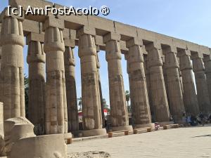[P62] Luxor, Templul Luxor, Curtea lui Amenhotep III » foto by mprofeanu
 - 
<span class="allrVoted glyphicon glyphicon-heart hidden" id="av1519322"></span>
<a class="m-l-10 hidden" id="sv1519322" onclick="voting_Foto_DelVot(,1519322,25858)" role="button">șterge vot <span class="glyphicon glyphicon-remove"></span></a>
<a id="v91519322" class=" c-red"  onclick="voting_Foto_SetVot(1519322)" role="button"><span class="glyphicon glyphicon-heart-empty"></span> <b>LIKE</b> = Votează poza</a> <img class="hidden"  id="f1519322W9" src="/imagini/loader.gif" border="0" /><span class="AjErrMes hidden" id="e1519322ErM"></span>