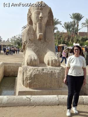 [P11] Memphis, Muzeul Mit Rahina, Sfinxul de alabastru » foto by mprofeanu
 - 
<span class="allrVoted glyphicon glyphicon-heart hidden" id="av1525993"></span>
<a class="m-l-10 hidden" id="sv1525993" onclick="voting_Foto_DelVot(,1525993,25858)" role="button">șterge vot <span class="glyphicon glyphicon-remove"></span></a>
<a id="v91525993" class=" c-red"  onclick="voting_Foto_SetVot(1525993)" role="button"><span class="glyphicon glyphicon-heart-empty"></span> <b>LIKE</b> = Votează poza</a> <img class="hidden"  id="f1525993W9" src="/imagini/loader.gif" border="0" /><span class="AjErrMes hidden" id="e1525993ErM"></span>