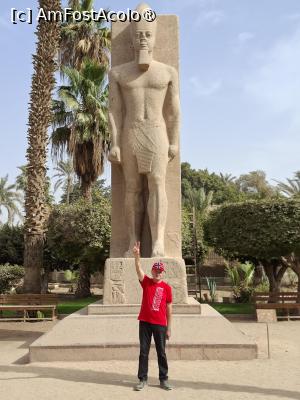 [P16] Memphis, Muzeul Mit Rahina, Statuia faraonului Ramses al II-lea » foto by mprofeanu
 - 
<span class="allrVoted glyphicon glyphicon-heart hidden" id="av1525998"></span>
<a class="m-l-10 hidden" id="sv1525998" onclick="voting_Foto_DelVot(,1525998,25858)" role="button">șterge vot <span class="glyphicon glyphicon-remove"></span></a>
<a id="v91525998" class=" c-red"  onclick="voting_Foto_SetVot(1525998)" role="button"><span class="glyphicon glyphicon-heart-empty"></span> <b>LIKE</b> = Votează poza</a> <img class="hidden"  id="f1525998W9" src="/imagini/loader.gif" border="0" /><span class="AjErrMes hidden" id="e1525998ErM"></span>