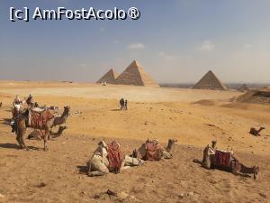 P03 [FEB-2024] Piramidele de la Giza