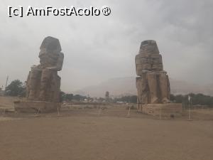 P36 [FEB-2024] Coloșii lui Memnon