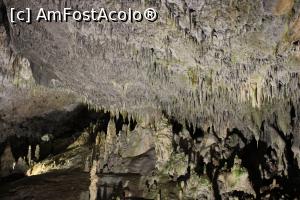 [P27] Peștera Snejanka, Sala Mare, poză mărită cu mulțime de stalactite și stalagmite » foto by mprofeanu
 - 
<span class="allrVoted glyphicon glyphicon-heart hidden" id="av1255212"></span>
<a class="m-l-10 hidden" id="sv1255212" onclick="voting_Foto_DelVot(,1255212,25928)" role="button">șterge vot <span class="glyphicon glyphicon-remove"></span></a>
<a id="v91255212" class=" c-red"  onclick="voting_Foto_SetVot(1255212)" role="button"><span class="glyphicon glyphicon-heart-empty"></span> <b>LIKE</b> = Votează poza</a> <img class="hidden"  id="f1255212W9" src="/imagini/loader.gif" border="0" /><span class="AjErrMes hidden" id="e1255212ErM"></span>