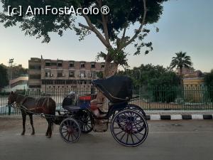 [P38] Străzile Luxorului » foto by adso
 - 
<span class="allrVoted glyphicon glyphicon-heart hidden" id="av1511455"></span>
<a class="m-l-10 hidden" id="sv1511455" onclick="voting_Foto_DelVot(,1511455,25941)" role="button">șterge vot <span class="glyphicon glyphicon-remove"></span></a>
<a id="v91511455" class=" c-red"  onclick="voting_Foto_SetVot(1511455)" role="button"><span class="glyphicon glyphicon-heart-empty"></span> <b>LIKE</b> = Votează poza</a> <img class="hidden"  id="f1511455W9" src="/imagini/loader.gif" border="0" /><span class="AjErrMes hidden" id="e1511455ErM"></span>