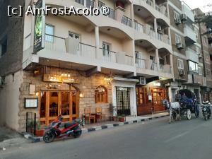 [P40] Străzile Luxorului » foto by adso
 - 
<span class="allrVoted glyphicon glyphicon-heart hidden" id="av1511457"></span>
<a class="m-l-10 hidden" id="sv1511457" onclick="voting_Foto_DelVot(,1511457,25941)" role="button">șterge vot <span class="glyphicon glyphicon-remove"></span></a>
<a id="v91511457" class=" c-red"  onclick="voting_Foto_SetVot(1511457)" role="button"><span class="glyphicon glyphicon-heart-empty"></span> <b>LIKE</b> = Votează poza</a> <img class="hidden"  id="f1511457W9" src="/imagini/loader.gif" border="0" /><span class="AjErrMes hidden" id="e1511457ErM"></span>