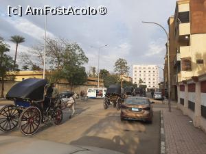 [P07] Străzile Luxorului » foto by adso
 - 
<span class="allrVoted glyphicon glyphicon-heart hidden" id="av1511424"></span>
<a class="m-l-10 hidden" id="sv1511424" onclick="voting_Foto_DelVot(,1511424,25941)" role="button">șterge vot <span class="glyphicon glyphicon-remove"></span></a>
<a id="v91511424" class=" c-red"  onclick="voting_Foto_SetVot(1511424)" role="button"><span class="glyphicon glyphicon-heart-empty"></span> <b>LIKE</b> = Votează poza</a> <img class="hidden"  id="f1511424W9" src="/imagini/loader.gif" border="0" /><span class="AjErrMes hidden" id="e1511424ErM"></span>