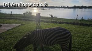 [P16] rezidenți permanenți » foto by robert
 - 
<span class="allrVoted glyphicon glyphicon-heart hidden" id="av1513870"></span>
<a class="m-l-10 hidden" id="sv1513870" onclick="voting_Foto_DelVot(,1513870,26101)" role="button">șterge vot <span class="glyphicon glyphicon-remove"></span></a>
<a id="v91513870" class=" c-red"  onclick="voting_Foto_SetVot(1513870)" role="button"><span class="glyphicon glyphicon-heart-empty"></span> <b>LIKE</b> = Votează poza</a> <img class="hidden"  id="f1513870W9" src="/imagini/loader.gif" border="0" /><span class="AjErrMes hidden" id="e1513870ErM"></span>