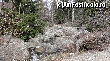 P10 [APR-2013] Zlatnite Mostove (The Golden Bridges) numit și ''râul de piatră'' (începe la altitudinea de cca 1350m până la 1500m), rezultatul unui fenomen natural. 