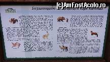 P04 [APR-2013] Informații despre fauna din zonă... am avut noroc nu m-am întâlnit cu ursul... 