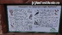 [P05] Păsările sunt și ele prezente, mai ales că e o zonă recomandtă pentru bird watching...  » foto by Nasshu
 - 
<span class="allrVoted glyphicon glyphicon-heart hidden" id="av412367"></span>
<a class="m-l-10 hidden" id="sv412367" onclick="voting_Foto_DelVot(,412367,26117)" role="button">șterge vot <span class="glyphicon glyphicon-remove"></span></a>
<a id="v9412367" class=" c-red"  onclick="voting_Foto_SetVot(412367)" role="button"><span class="glyphicon glyphicon-heart-empty"></span> <b>LIKE</b> = Votează poza</a> <img class="hidden"  id="f412367W9" src="/imagini/loader.gif" border="0" /><span class="AjErrMes hidden" id="e412367ErM"></span>