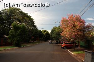 [P01] Puerto de Iguazú, Plimbare spre Restaurante y Parrilla Rafa pe străzi cu pomi, flori și multă verdeață așa arată orașul... încă nu se înserase...  » foto by mprofeanu
 - 
<span class="allrVoted glyphicon glyphicon-heart hidden" id="av1157512"></span>
<a class="m-l-10 hidden" id="sv1157512" onclick="voting_Foto_DelVot(,1157512,26271)" role="button">șterge vot <span class="glyphicon glyphicon-remove"></span></a>
<a id="v91157512" class=" c-red"  onclick="voting_Foto_SetVot(1157512)" role="button"><span class="glyphicon glyphicon-heart-empty"></span> <b>LIKE</b> = Votează poza</a> <img class="hidden"  id="f1157512W9" src="/imagini/loader.gif" border="0" /><span class="AjErrMes hidden" id="e1157512ErM"></span>