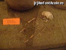 [P22] Cetatea medievala Tg. Mures - scheletul unui copil descoperit la necropola de la Ludus » foto by biancuta
 - 
<span class="allrVoted glyphicon glyphicon-heart hidden" id="av146133"></span>
<a class="m-l-10 hidden" id="sv146133" onclick="voting_Foto_DelVot(,146133,26284)" role="button">șterge vot <span class="glyphicon glyphicon-remove"></span></a>
<a id="v9146133" class=" c-red"  onclick="voting_Foto_SetVot(146133)" role="button"><span class="glyphicon glyphicon-heart-empty"></span> <b>LIKE</b> = Votează poza</a> <img class="hidden"  id="f146133W9" src="/imagini/loader.gif" border="0" /><span class="AjErrMes hidden" id="e146133ErM"></span>