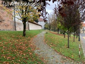 [P05] Cetatea medievală Târgu Mureș,parc în exterior » foto by AZE
 - 
<span class="allrVoted glyphicon glyphicon-heart hidden" id="av1398113"></span>
<a class="m-l-10 hidden" id="sv1398113" onclick="voting_Foto_DelVot(,1398113,26284)" role="button">șterge vot <span class="glyphicon glyphicon-remove"></span></a>
<a id="v91398113" class=" c-red"  onclick="voting_Foto_SetVot(1398113)" role="button"><span class="glyphicon glyphicon-heart-empty"></span> <b>LIKE</b> = Votează poza</a> <img class="hidden"  id="f1398113W9" src="/imagini/loader.gif" border="0" /><span class="AjErrMes hidden" id="e1398113ErM"></span>