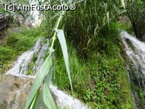 P30 [SEP-2019] Cascadele Algar – spectaculoase într-o zi cu ploaie
