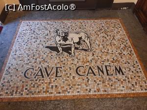 [P18] Casa Sobit » foto by adso
 - 
<span class="allrVoted glyphicon glyphicon-heart hidden" id="av1546186"></span>
<a class="m-l-10 hidden" id="sv1546186" onclick="voting_Foto_DelVot(,1546186,26375)" role="button">șterge vot <span class="glyphicon glyphicon-remove"></span></a>
<a id="v91546186" class=" c-red"  onclick="voting_Foto_SetVot(1546186)" role="button"><span class="glyphicon glyphicon-heart-empty"></span> <b>LIKE</b> = Votează poza</a> <img class="hidden"  id="f1546186W9" src="/imagini/loader.gif" border="0" /><span class="AjErrMes hidden" id="e1546186ErM"></span>