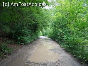 [P01] Pe drumul forestier de la Podul Beiului către zona de camping și păstrăvărie. » foto by Floryn81
 - 
<span class="allrVoted glyphicon glyphicon-heart hidden" id="av1177189"></span>
<a class="m-l-10 hidden" id="sv1177189" onclick="voting_Foto_DelVot(,1177189,26445)" role="button">șterge vot <span class="glyphicon glyphicon-remove"></span></a>
<a id="v91177189" class=" c-red"  onclick="voting_Foto_SetVot(1177189)" role="button"><span class="glyphicon glyphicon-heart-empty"></span> <b>LIKE</b> = Votează poza</a> <img class="hidden"  id="f1177189W9" src="/imagini/loader.gif" border="0" /><span class="AjErrMes hidden" id="e1177189ErM"></span>