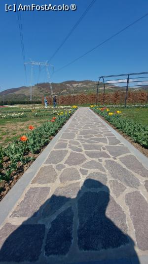 [P02]  -- <small>// FĂRĂ DESCRIERE</small> » foto by hd88gsg
 - 
<span class="allrVoted glyphicon glyphicon-heart hidden" id="av1523780"></span>
<a class="m-l-10 hidden" id="sv1523780" onclick="voting_Foto_DelVot(,1523780,26461)" role="button">șterge vot <span class="glyphicon glyphicon-remove"></span></a>
<a id="v91523780" class=" c-red"  onclick="voting_Foto_SetVot(1523780)" role="button"><span class="glyphicon glyphicon-heart-empty"></span> <b>LIKE</b> = Votează poza</a> <img class="hidden"  id="f1523780W9" src="/imagini/loader.gif" border="0" /><span class="AjErrMes hidden" id="e1523780ErM"></span>