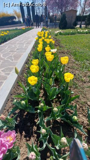 [P04]  -- <small>// FĂRĂ DESCRIERE</small> » foto by hd88gsg
 - 
<span class="allrVoted glyphicon glyphicon-heart hidden" id="av1523782"></span>
<a class="m-l-10 hidden" id="sv1523782" onclick="voting_Foto_DelVot(,1523782,26461)" role="button">șterge vot <span class="glyphicon glyphicon-remove"></span></a>
<a id="v91523782" class=" c-red"  onclick="voting_Foto_SetVot(1523782)" role="button"><span class="glyphicon glyphicon-heart-empty"></span> <b>LIKE</b> = Votează poza</a> <img class="hidden"  id="f1523782W9" src="/imagini/loader.gif" border="0" /><span class="AjErrMes hidden" id="e1523782ErM"></span>