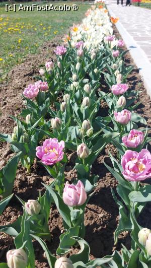 [P05]  -- <small>// FĂRĂ DESCRIERE</small> » foto by hd88gsg
 - 
<span class="allrVoted glyphicon glyphicon-heart hidden" id="av1523783"></span>
<a class="m-l-10 hidden" id="sv1523783" onclick="voting_Foto_DelVot(,1523783,26461)" role="button">șterge vot <span class="glyphicon glyphicon-remove"></span></a>
<a id="v91523783" class=" c-red"  onclick="voting_Foto_SetVot(1523783)" role="button"><span class="glyphicon glyphicon-heart-empty"></span> <b>LIKE</b> = Votează poza</a> <img class="hidden"  id="f1523783W9" src="/imagini/loader.gif" border="0" /><span class="AjErrMes hidden" id="e1523783ErM"></span>