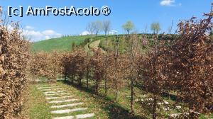 [P07]  -- <small>// FĂRĂ DESCRIERE</small> » foto by hd88gsg
 - 
<span class="allrVoted glyphicon glyphicon-heart hidden" id="av1523785"></span>
<a class="m-l-10 hidden" id="sv1523785" onclick="voting_Foto_DelVot(,1523785,26461)" role="button">șterge vot <span class="glyphicon glyphicon-remove"></span></a>
<a id="v91523785" class=" c-red"  onclick="voting_Foto_SetVot(1523785)" role="button"><span class="glyphicon glyphicon-heart-empty"></span> <b>LIKE</b> = Votează poza</a> <img class="hidden"  id="f1523785W9" src="/imagini/loader.gif" border="0" /><span class="AjErrMes hidden" id="e1523785ErM"></span>