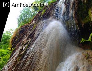 [P21] Cascada Clocota în frumusețea ei » foto by Dragoș_MD
 - 
<span class="allrVoted glyphicon glyphicon-heart hidden" id="av1011173"></span>
<a class="m-l-10 hidden" id="sv1011173" onclick="voting_Foto_DelVot(,1011173,26461)" role="button">șterge vot <span class="glyphicon glyphicon-remove"></span></a>
<a id="v91011173" class=" c-red"  onclick="voting_Foto_SetVot(1011173)" role="button"><span class="glyphicon glyphicon-heart-empty"></span> <b>LIKE</b> = Votează poza</a> <img class="hidden"  id="f1011173W9" src="/imagini/loader.gif" border="0" /><span class="AjErrMes hidden" id="e1011173ErM"></span>