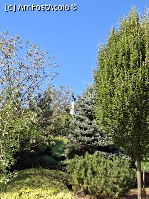 [P12] I Giardini di Zoe » foto by Carmen Ion
 - 
<span class="allrVoted glyphicon glyphicon-heart hidden" id="av1511719"></span>
<a class="m-l-10 hidden" id="sv1511719" onclick="voting_Foto_DelVot(,1511719,26461)" role="button">șterge vot <span class="glyphicon glyphicon-remove"></span></a>
<a id="v91511719" class=" c-red"  onclick="voting_Foto_SetVot(1511719)" role="button"><span class="glyphicon glyphicon-heart-empty"></span> <b>LIKE</b> = Votează poza</a> <img class="hidden"  id="f1511719W9" src="/imagini/loader.gif" border="0" /><span class="AjErrMes hidden" id="e1511719ErM"></span>