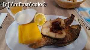 [P17] platou din DD cu trei feluri de peste » foto by Yolanda
 - 
<span class="allrVoted glyphicon glyphicon-heart hidden" id="av1500532"></span>
<a class="m-l-10 hidden" id="sv1500532" onclick="voting_Foto_DelVot(,1500532,26463)" role="button">șterge vot <span class="glyphicon glyphicon-remove"></span></a>
<a id="v91500532" class=" c-red"  onclick="voting_Foto_SetVot(1500532)" role="button"><span class="glyphicon glyphicon-heart-empty"></span> <b>LIKE</b> = Votează poza</a> <img class="hidden"  id="f1500532W9" src="/imagini/loader.gif" border="0" /><span class="AjErrMes hidden" id="e1500532ErM"></span>