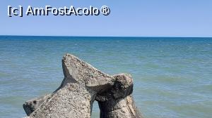 [P25] pe dig, privind albastrul marii » foto by Yolanda
 - 
<span class="allrVoted glyphicon glyphicon-heart hidden" id="av1500540"></span>
<a class="m-l-10 hidden" id="sv1500540" onclick="voting_Foto_DelVot(,1500540,26463)" role="button">șterge vot <span class="glyphicon glyphicon-remove"></span></a>
<a id="v91500540" class=" c-red"  onclick="voting_Foto_SetVot(1500540)" role="button"><span class="glyphicon glyphicon-heart-empty"></span> <b>LIKE</b> = Votează poza</a> <img class="hidden"  id="f1500540W9" src="/imagini/loader.gif" border="0" /><span class="AjErrMes hidden" id="e1500540ErM"></span>