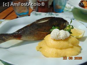 [P40] Jurilovca, restaurant Bold, dorada mea cu mot de usturoi » foto by Yolanda
 - 
<span class="allrVoted glyphicon glyphicon-heart hidden" id="av1541004"></span>
<a class="m-l-10 hidden" id="sv1541004" onclick="voting_Foto_DelVot(,1541004,26463)" role="button">șterge vot <span class="glyphicon glyphicon-remove"></span></a>
<a id="v91541004" class=" c-red"  onclick="voting_Foto_SetVot(1541004)" role="button"><span class="glyphicon glyphicon-heart-empty"></span> <b>LIKE</b> = Votează poza</a> <img class="hidden"  id="f1541004W9" src="/imagini/loader.gif" border="0" /><span class="AjErrMes hidden" id="e1541004ErM"></span>