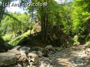 [P16] Am ajuns într-un punct unde se unesc două pârâiaşe, iar noi am urmat poteca spre dreapta, cu ochii după marcajele de pe traseu.  » foto by Floryn81
 - 
<span class="allrVoted glyphicon glyphicon-heart hidden" id="av884647"></span>
<a class="m-l-10 hidden" id="sv884647" onclick="voting_Foto_DelVot(,884647,26611)" role="button">șterge vot <span class="glyphicon glyphicon-remove"></span></a>
<a id="v9884647" class=" c-red"  onclick="voting_Foto_SetVot(884647)" role="button"><span class="glyphicon glyphicon-heart-empty"></span> <b>LIKE</b> = Votează poza</a> <img class="hidden"  id="f884647W9" src="/imagini/loader.gif" border="0" /><span class="AjErrMes hidden" id="e884647ErM"></span>