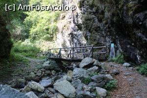 [P08] Poteca turistică spre Cascada Scoruș, Mălaia, al doile Podeț peste Râul Budureasa Mare » foto by mprofeanu
 - 
<span class="allrVoted glyphicon glyphicon-heart hidden" id="av1392492"></span>
<a class="m-l-10 hidden" id="sv1392492" onclick="voting_Foto_DelVot(,1392492,26611)" role="button">șterge vot <span class="glyphicon glyphicon-remove"></span></a>
<a id="v91392492" class=" c-red"  onclick="voting_Foto_SetVot(1392492)" role="button"><span class="glyphicon glyphicon-heart-empty"></span> <b>LIKE</b> = Votează poza</a> <img class="hidden"  id="f1392492W9" src="/imagini/loader.gif" border="0" /><span class="AjErrMes hidden" id="e1392492ErM"></span>