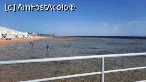 [P11] marea la reflux » foto by artemisa24
 - 
<span class="allrVoted glyphicon glyphicon-heart hidden" id="av1515046"></span>
<a class="m-l-10 hidden" id="sv1515046" onclick="voting_Foto_DelVot(,1515046,26773)" role="button">șterge vot <span class="glyphicon glyphicon-remove"></span></a>
<a id="v91515046" class=" c-red"  onclick="voting_Foto_SetVot(1515046)" role="button"><span class="glyphicon glyphicon-heart-empty"></span> <b>LIKE</b> = Votează poza</a> <img class="hidden"  id="f1515046W9" src="/imagini/loader.gif" border="0" /><span class="AjErrMes hidden" id="e1515046ErM"></span>