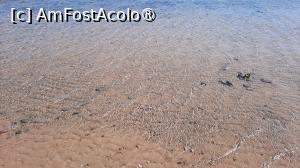 [P12] marea la reflux » foto by artemisa24
 - 
<span class="allrVoted glyphicon glyphicon-heart hidden" id="av1515047"></span>
<a class="m-l-10 hidden" id="sv1515047" onclick="voting_Foto_DelVot(,1515047,26773)" role="button">șterge vot <span class="glyphicon glyphicon-remove"></span></a>
<a id="v91515047" class=" c-red"  onclick="voting_Foto_SetVot(1515047)" role="button"><span class="glyphicon glyphicon-heart-empty"></span> <b>LIKE</b> = Votează poza</a> <img class="hidden"  id="f1515047W9" src="/imagini/loader.gif" border="0" /><span class="AjErrMes hidden" id="e1515047ErM"></span>