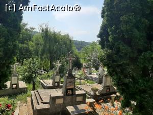 [P31] Cimitirul_ » foto by adso
 - 
<span class="allrVoted glyphicon glyphicon-heart hidden" id="av1238597"></span>
<a class="m-l-10 hidden" id="sv1238597" onclick="voting_Foto_DelVot(,1238597,26928)" role="button">șterge vot <span class="glyphicon glyphicon-remove"></span></a>
<a id="v91238597" class=" c-red"  onclick="voting_Foto_SetVot(1238597)" role="button"><span class="glyphicon glyphicon-heart-empty"></span> <b>LIKE</b> = Votează poza</a> <img class="hidden"  id="f1238597W9" src="/imagini/loader.gif" border="0" /><span class="AjErrMes hidden" id="e1238597ErM"></span>