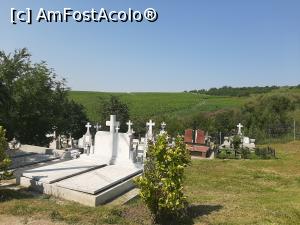 [P35] Cimitirul_ » foto by adso
 - 
<span class="allrVoted glyphicon glyphicon-heart hidden" id="av1238601"></span>
<a class="m-l-10 hidden" id="sv1238601" onclick="voting_Foto_DelVot(,1238601,26928)" role="button">șterge vot <span class="glyphicon glyphicon-remove"></span></a>
<a id="v91238601" class=" c-red"  onclick="voting_Foto_SetVot(1238601)" role="button"><span class="glyphicon glyphicon-heart-empty"></span> <b>LIKE</b> = Votează poza</a> <img class="hidden"  id="f1238601W9" src="/imagini/loader.gif" border="0" /><span class="AjErrMes hidden" id="e1238601ErM"></span>