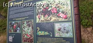 [P20] Tinovul Mare - Poiana Stampei. Informatii pentru vizitatori. » foto by iulianic
 - 
<span class="allrVoted glyphicon glyphicon-heart hidden" id="av1544936"></span>
<a class="m-l-10 hidden" id="sv1544936" onclick="voting_Foto_DelVot(,1544936,26942)" role="button">șterge vot <span class="glyphicon glyphicon-remove"></span></a>
<a id="v91544936" class=" c-red"  onclick="voting_Foto_SetVot(1544936)" role="button"><span class="glyphicon glyphicon-heart-empty"></span> <b>LIKE</b> = Votează poza</a> <img class="hidden"  id="f1544936W9" src="/imagini/loader.gif" border="0" /><span class="AjErrMes hidden" id="e1544936ErM"></span>