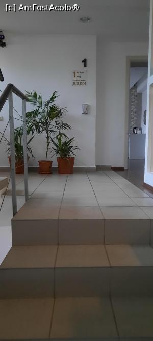 [P08] Bacău, Pensiunea Studio, Holul de la etaj 1 » foto by mprofeanu
 - 
<span class="allrVoted glyphicon glyphicon-heart hidden" id="av1505262"></span>
<a class="m-l-10 hidden" id="sv1505262" onclick="voting_Foto_DelVot(,1505262,27059)" role="button">șterge vot <span class="glyphicon glyphicon-remove"></span></a>
<a id="v91505262" class=" c-red"  onclick="voting_Foto_SetVot(1505262)" role="button"><span class="glyphicon glyphicon-heart-empty"></span> <b>LIKE</b> = Votează poza</a> <img class="hidden"  id="f1505262W9" src="/imagini/loader.gif" border="0" /><span class="AjErrMes hidden" id="e1505262ErM"></span>