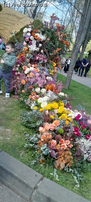[P01] Simfonia Lalelelor Pitesti, aranjamente florale » foto by Yolanda
 - 
<span class="allrVoted glyphicon glyphicon-heart hidden" id="av1528802"></span>
<a class="m-l-10 hidden" id="sv1528802" onclick="voting_Foto_DelVot(,1528802,27088)" role="button">șterge vot <span class="glyphicon glyphicon-remove"></span></a>
<a id="v91528802" class=" c-red"  onclick="voting_Foto_SetVot(1528802)" role="button"><span class="glyphicon glyphicon-heart-empty"></span> <b>LIKE</b> = Votează poza</a> <img class="hidden"  id="f1528802W9" src="/imagini/loader.gif" border="0" /><span class="AjErrMes hidden" id="e1528802ErM"></span>