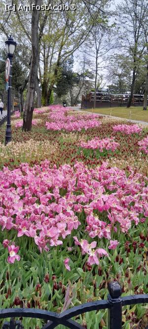 [P11] Parcul Emirgan Istanbul » foto by Yolanda
 - 
<span class="allrVoted glyphicon glyphicon-heart hidden" id="av1528812"></span>
<a class="m-l-10 hidden" id="sv1528812" onclick="voting_Foto_DelVot(,1528812,27088)" role="button">șterge vot <span class="glyphicon glyphicon-remove"></span></a>
<a id="v91528812" class=" c-red"  onclick="voting_Foto_SetVot(1528812)" role="button"><span class="glyphicon glyphicon-heart-empty"></span> <b>LIKE</b> = Votează poza</a> <img class="hidden"  id="f1528812W9" src="/imagini/loader.gif" border="0" /><span class="AjErrMes hidden" id="e1528812ErM"></span>