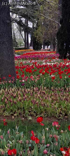 [P16] Parcul Emirgan Istanbul » foto by Yolanda
 - 
<span class="allrVoted glyphicon glyphicon-heart hidden" id="av1528817"></span>
<a class="m-l-10 hidden" id="sv1528817" onclick="voting_Foto_DelVot(,1528817,27088)" role="button">șterge vot <span class="glyphicon glyphicon-remove"></span></a>
<a id="v91528817" class=" c-red"  onclick="voting_Foto_SetVot(1528817)" role="button"><span class="glyphicon glyphicon-heart-empty"></span> <b>LIKE</b> = Votează poza</a> <img class="hidden"  id="f1528817W9" src="/imagini/loader.gif" border="0" /><span class="AjErrMes hidden" id="e1528817ErM"></span>