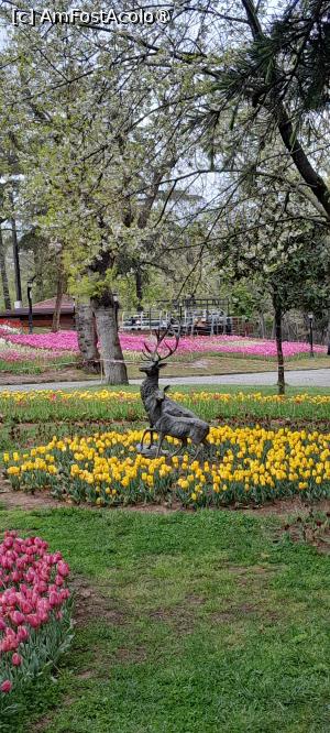 [P17] Parcul Emirgan Istanbul » foto by Yolanda
 - 
<span class="allrVoted glyphicon glyphicon-heart hidden" id="av1528818"></span>
<a class="m-l-10 hidden" id="sv1528818" onclick="voting_Foto_DelVot(,1528818,27088)" role="button">șterge vot <span class="glyphicon glyphicon-remove"></span></a>
<a id="v91528818" class=" c-red"  onclick="voting_Foto_SetVot(1528818)" role="button"><span class="glyphicon glyphicon-heart-empty"></span> <b>LIKE</b> = Votează poza</a> <img class="hidden"  id="f1528818W9" src="/imagini/loader.gif" border="0" /><span class="AjErrMes hidden" id="e1528818ErM"></span>