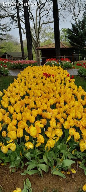 [P26] Parcul Emirgan Istanbul » foto by Yolanda
 - 
<span class="allrVoted glyphicon glyphicon-heart hidden" id="av1528827"></span>
<a class="m-l-10 hidden" id="sv1528827" onclick="voting_Foto_DelVot(,1528827,27088)" role="button">șterge vot <span class="glyphicon glyphicon-remove"></span></a>
<a id="v91528827" class=" c-red"  onclick="voting_Foto_SetVot(1528827)" role="button"><span class="glyphicon glyphicon-heart-empty"></span> <b>LIKE</b> = Votează poza</a> <img class="hidden"  id="f1528827W9" src="/imagini/loader.gif" border="0" /><span class="AjErrMes hidden" id="e1528827ErM"></span>