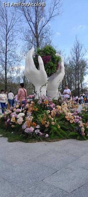 [P04] Simfonia Lalelelor Pitesti, aranjamente florale » foto by Yolanda
 - 
<span class="allrVoted glyphicon glyphicon-heart hidden" id="av1528805"></span>
<a class="m-l-10 hidden" id="sv1528805" onclick="voting_Foto_DelVot(,1528805,27088)" role="button">șterge vot <span class="glyphicon glyphicon-remove"></span></a>
<a id="v91528805" class=" c-red"  onclick="voting_Foto_SetVot(1528805)" role="button"><span class="glyphicon glyphicon-heart-empty"></span> <b>LIKE</b> = Votează poza</a> <img class="hidden"  id="f1528805W9" src="/imagini/loader.gif" border="0" /><span class="AjErrMes hidden" id="e1528805ErM"></span>