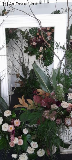 [P05] Simfonia Lalelelor Pitesti, aranjamente florale » foto by Yolanda
 - 
<span class="allrVoted glyphicon glyphicon-heart hidden" id="av1528806"></span>
<a class="m-l-10 hidden" id="sv1528806" onclick="voting_Foto_DelVot(,1528806,27088)" role="button">șterge vot <span class="glyphicon glyphicon-remove"></span></a>
<a id="v91528806" class=" c-red"  onclick="voting_Foto_SetVot(1528806)" role="button"><span class="glyphicon glyphicon-heart-empty"></span> <b>LIKE</b> = Votează poza</a> <img class="hidden"  id="f1528806W9" src="/imagini/loader.gif" border="0" /><span class="AjErrMes hidden" id="e1528806ErM"></span>