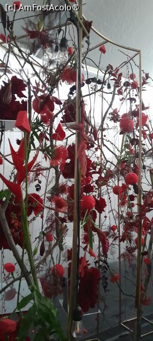 [P07] Simfonia Lalelelor Pitesti, aranjamente florale » foto by Yolanda
 - 
<span class="allrVoted glyphicon glyphicon-heart hidden" id="av1528808"></span>
<a class="m-l-10 hidden" id="sv1528808" onclick="voting_Foto_DelVot(,1528808,27088)" role="button">șterge vot <span class="glyphicon glyphicon-remove"></span></a>
<a id="v91528808" class=" c-red"  onclick="voting_Foto_SetVot(1528808)" role="button"><span class="glyphicon glyphicon-heart-empty"></span> <b>LIKE</b> = Votează poza</a> <img class="hidden"  id="f1528808W9" src="/imagini/loader.gif" border="0" /><span class="AjErrMes hidden" id="e1528808ErM"></span>