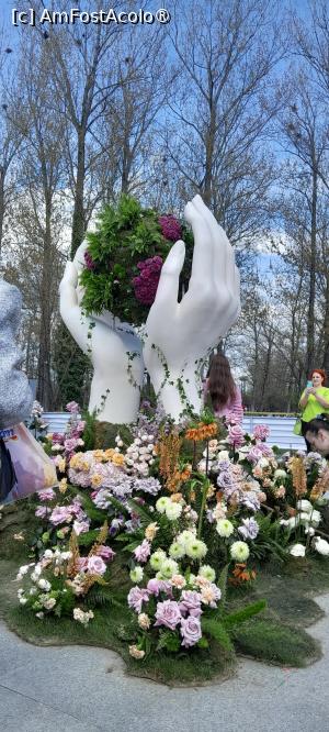 [P09] Simfonia Lalelelor Pitesti, aranjamente florale » foto by Yolanda
 - 
<span class="allrVoted glyphicon glyphicon-heart hidden" id="av1528810"></span>
<a class="m-l-10 hidden" id="sv1528810" onclick="voting_Foto_DelVot(,1528810,27088)" role="button">șterge vot <span class="glyphicon glyphicon-remove"></span></a>
<a id="v91528810" class=" c-red"  onclick="voting_Foto_SetVot(1528810)" role="button"><span class="glyphicon glyphicon-heart-empty"></span> <b>LIKE</b> = Votează poza</a> <img class="hidden"  id="f1528810W9" src="/imagini/loader.gif" border="0" /><span class="AjErrMes hidden" id="e1528810ErM"></span>