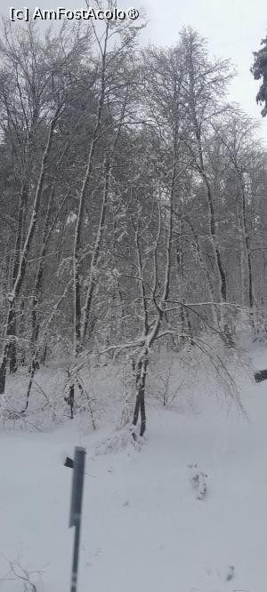 [P15] pe muntele Uludag, peisaj de iarna » foto by Yolanda
 - 
<span class="allrVoted glyphicon glyphicon-heart hidden" id="av1529078"></span>
<a class="m-l-10 hidden" id="sv1529078" onclick="voting_Foto_DelVot(,1529078,27088)" role="button">șterge vot <span class="glyphicon glyphicon-remove"></span></a>
<a id="v91529078" class=" c-red"  onclick="voting_Foto_SetVot(1529078)" role="button"><span class="glyphicon glyphicon-heart-empty"></span> <b>LIKE</b> = Votează poza</a> <img class="hidden"  id="f1529078W9" src="/imagini/loader.gif" border="0" /><span class="AjErrMes hidden" id="e1529078ErM"></span>